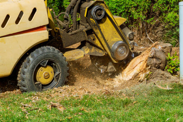 Best Landscape Design and Installation  in Owensville, MO
